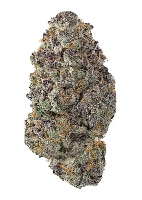 Rose Soda