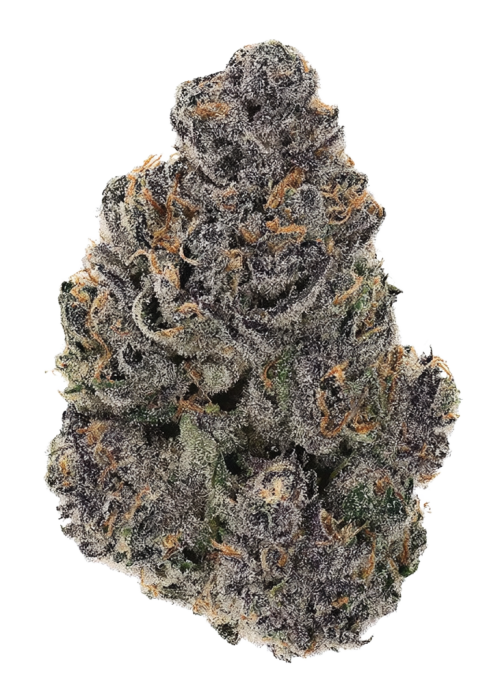 Free Blueberry Nation