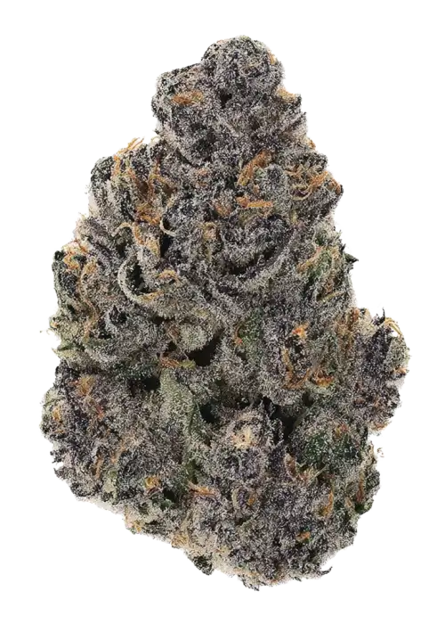Free Blueberry Nation