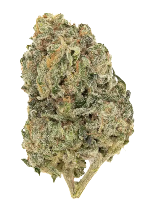 Zour Lemon Cream