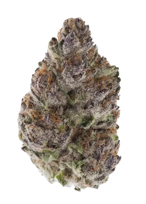 Zour Kosher
