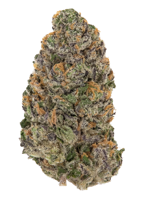 Zour Guava Tartz