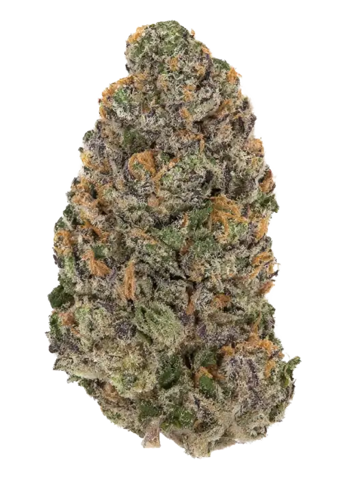 Zour Guava Tartz