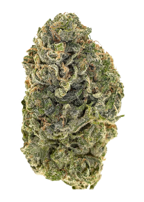 Louie Banana
