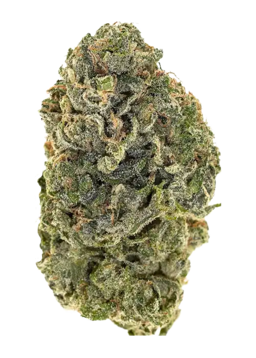 Louie Banana