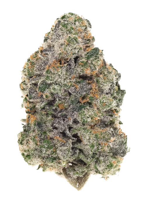 Triple Scoop by Crockett Family Farms