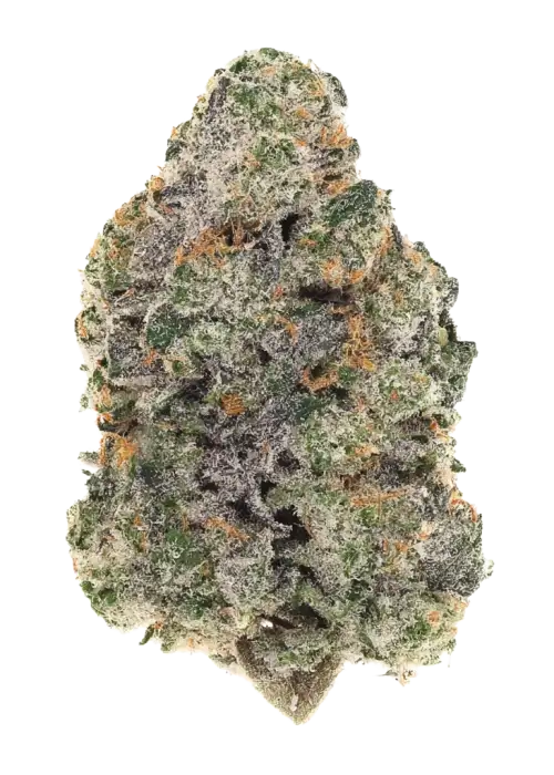 Triple Scoop by Crockett Family Farms