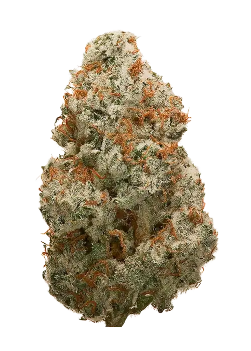 Zour Banana Fumez