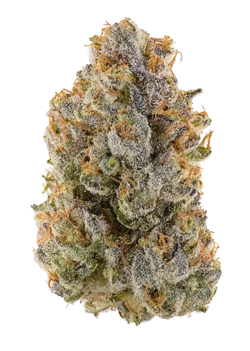 Cherry Popperz by Super Dope
