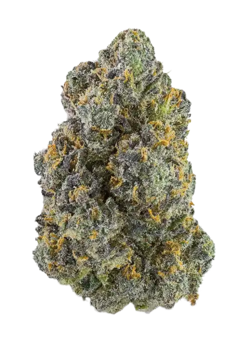 Zour Garlic Sherbet