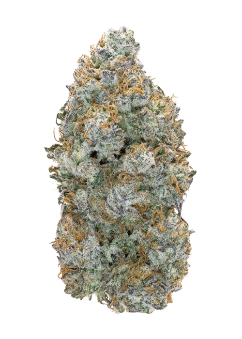 Shishka Lemonade