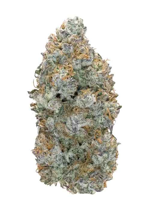 Shishka Lemonade