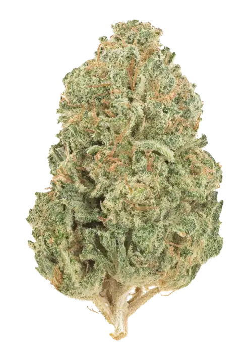 Bubba Banger