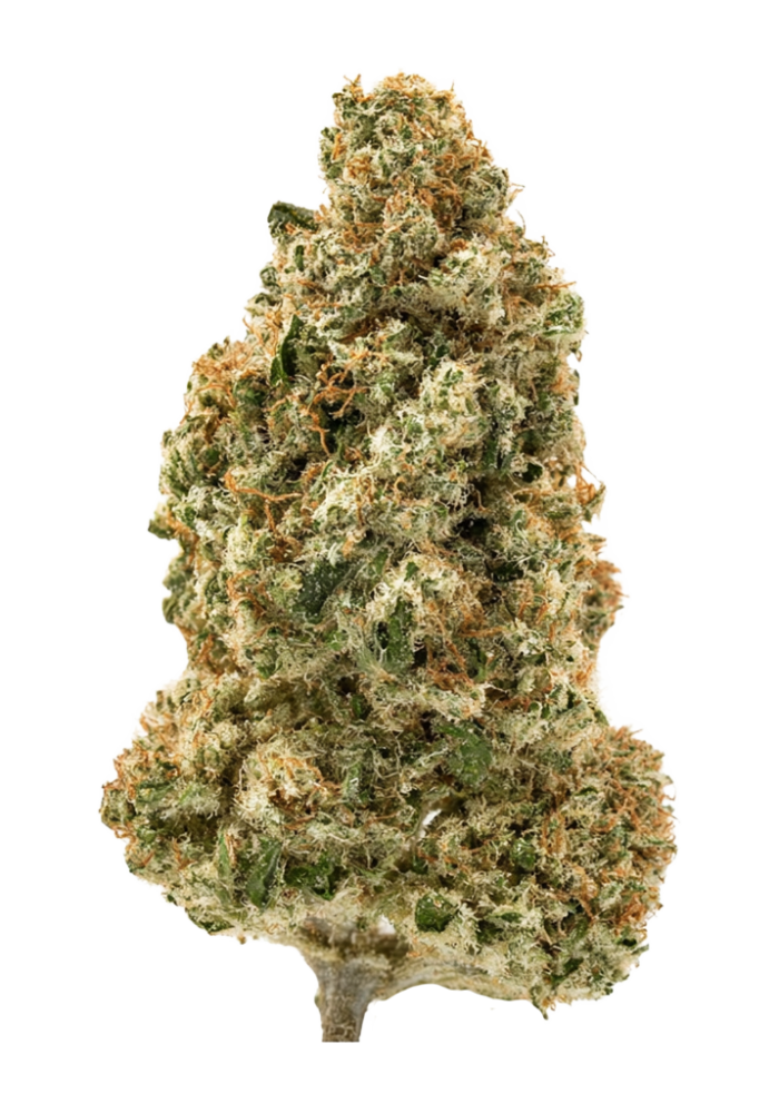 Banana Dog D Cannabis Strain Information - GrowDiaries