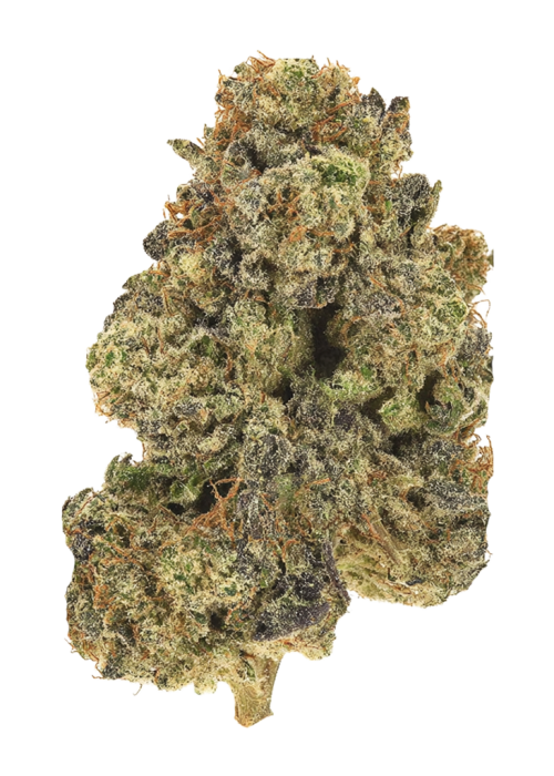 Sister Haze Banana D