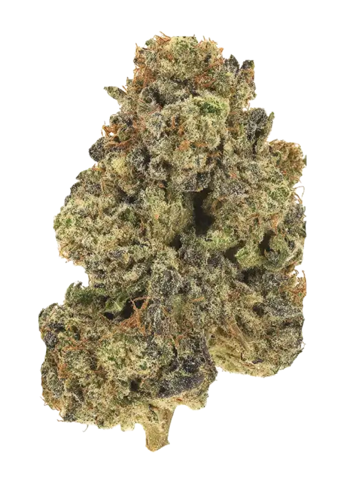 Sister Haze Banana D