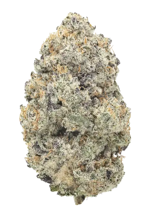 Chemical Soul