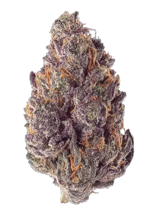 Purple Lemonade Auto RF3