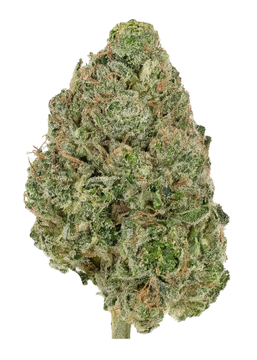 Nigerian Diesel