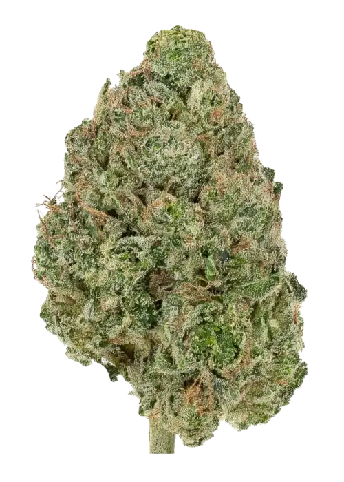 Nigerian Diesel