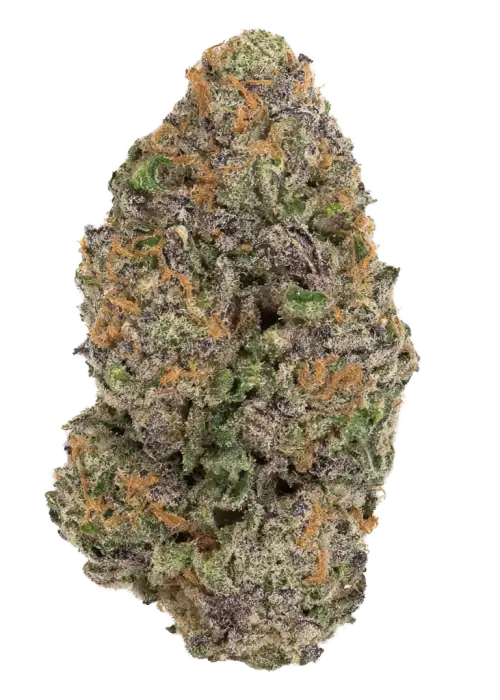 Greasi Lemon