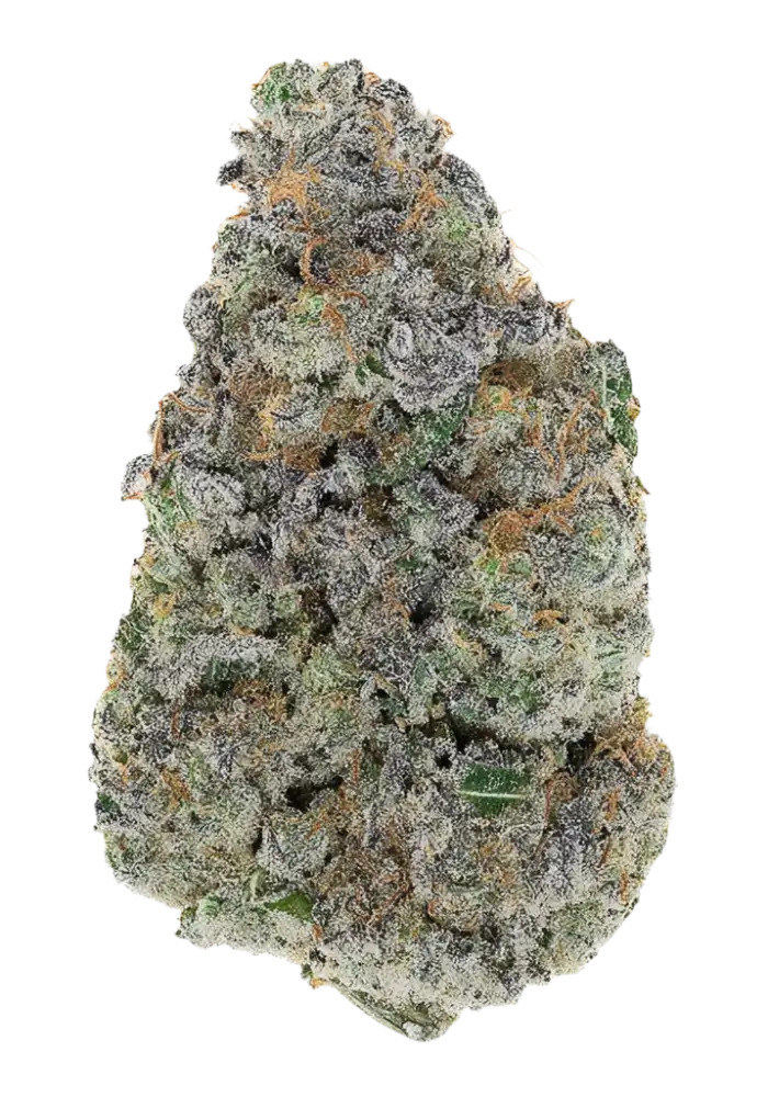 Grape Frappe Cannabis Strain Information - GrowDiaries