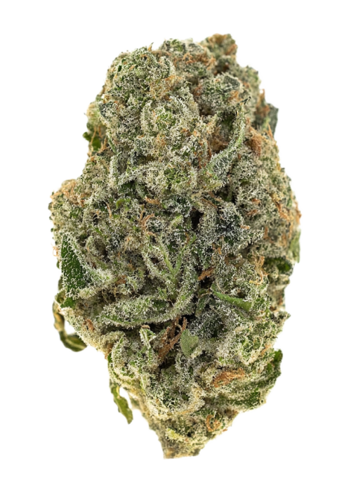 Glow Berry