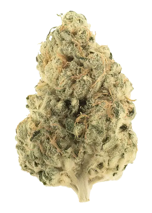 Uncles Doobies Sour Diesel BX 2.5