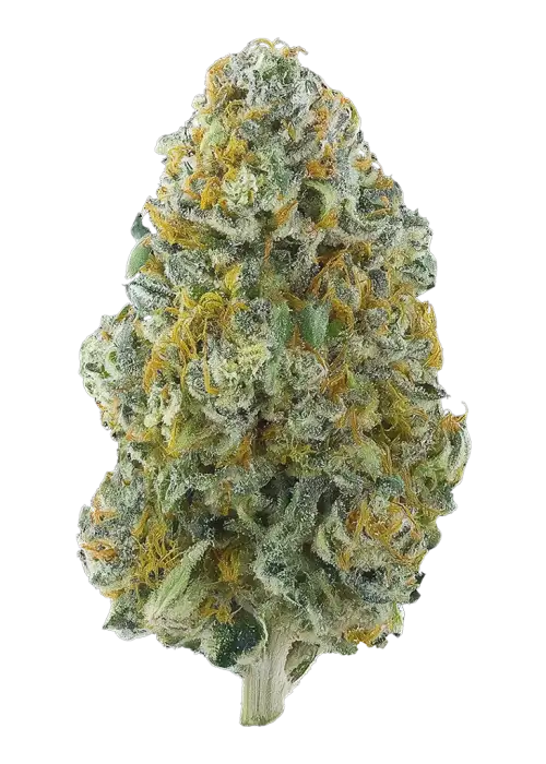 Uncle Doobie's Sour-Gpt