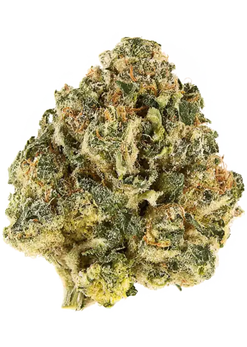 Uncle Doobies Scarlet Fire