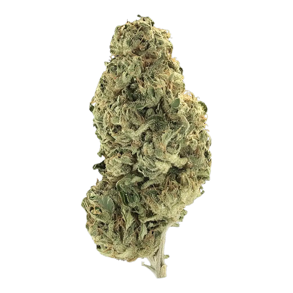 Uncle Doobies Hunter Mountain Sour Diesel Bx1 Cannabis St