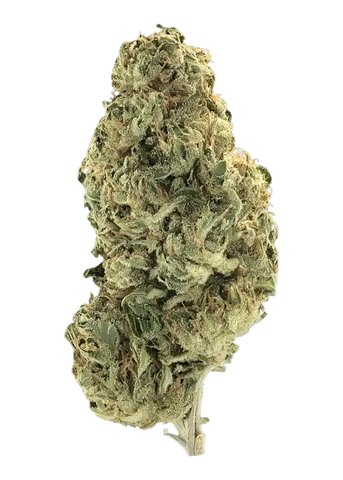 Uncle Doobies Hunter Mountain Sour Diesel Bx1