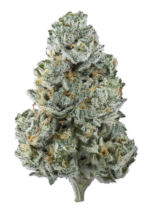 Lemon Grinder