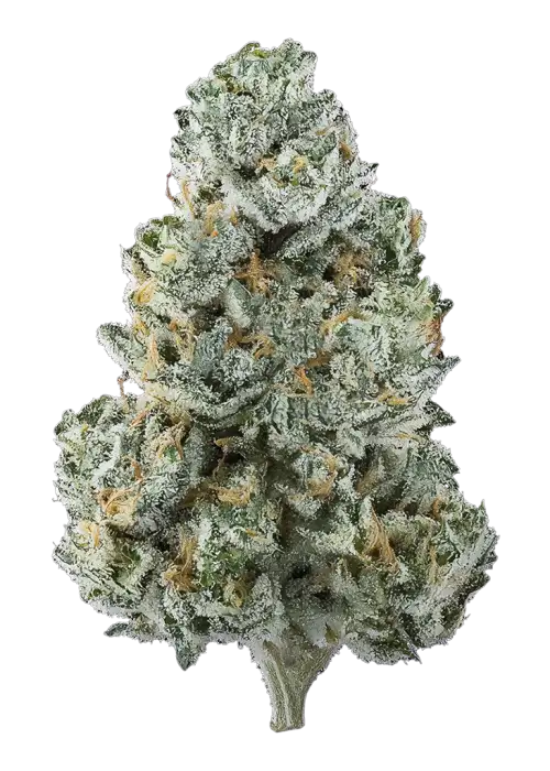 Lemon Grinder