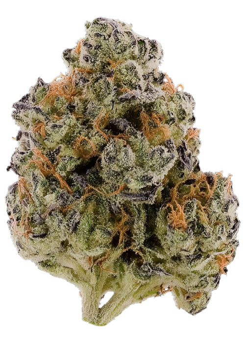 Lemon Cherry Diesel
