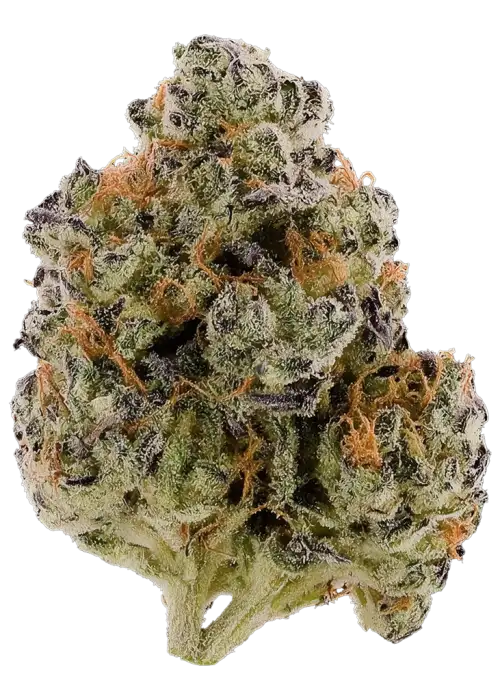 Lemon Cherry Diesel