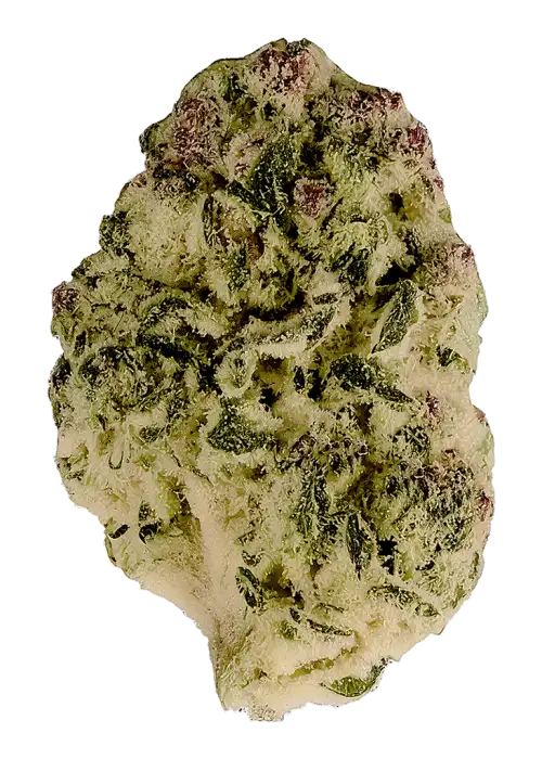 Sour Diesel Bx5.5