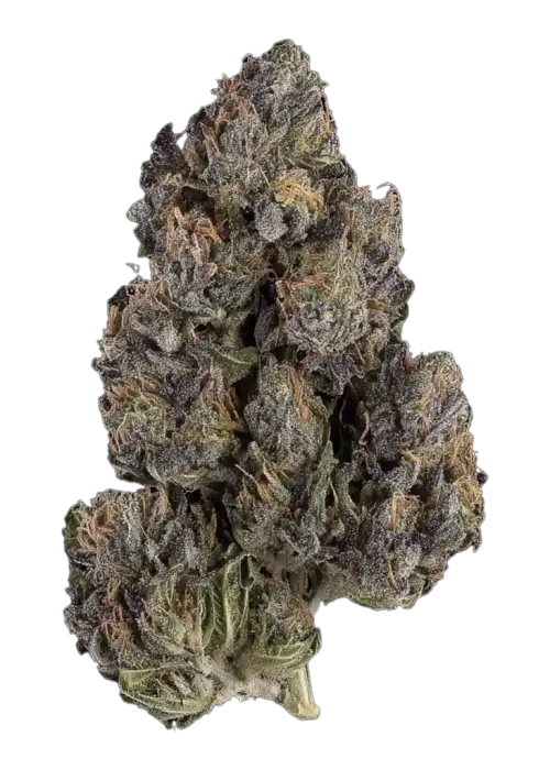 Kabuki Sour