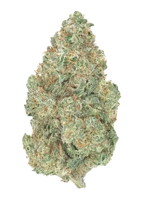 Black C