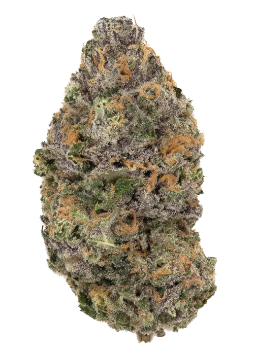 Cheri Maraschino
