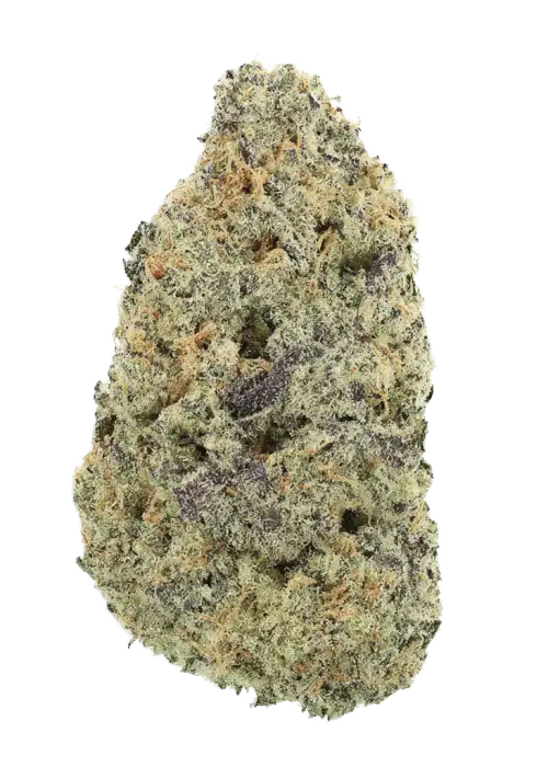 Watermelon Dream