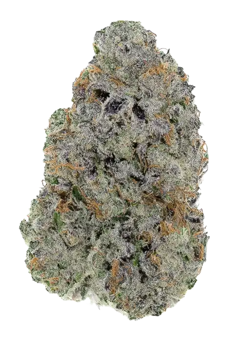 Bangkok Lemon