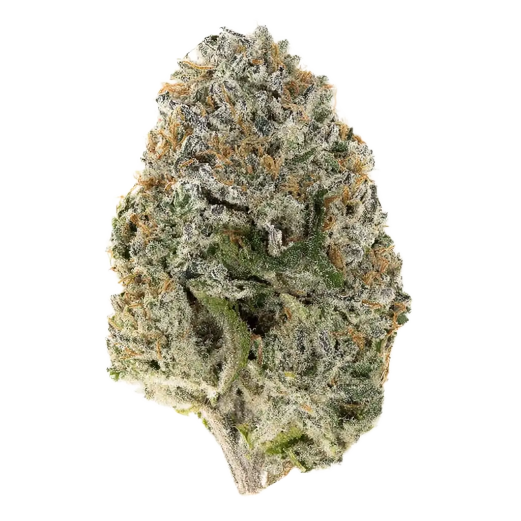 El Patron Cannabis Strain Products - GrowDiaries El Patron Cannabis Strain Products - GrowDiaries