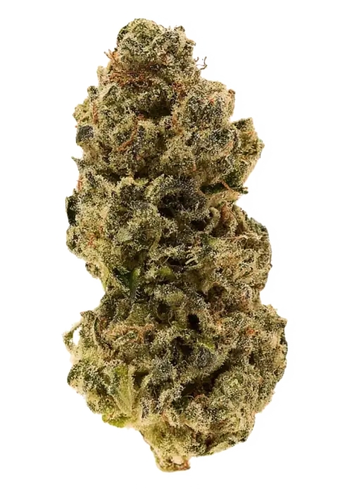 Blueberry Banana