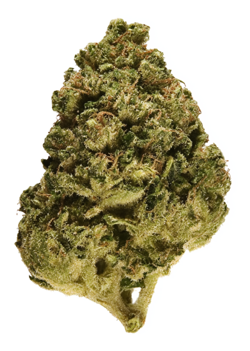 Fire Guava