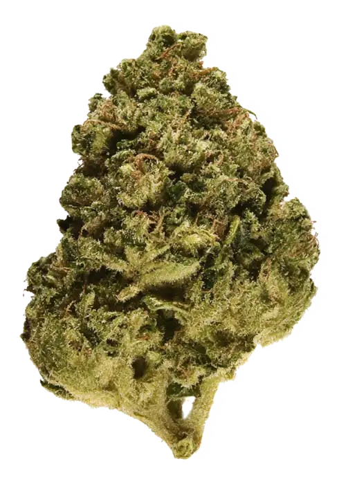 Fire Guava