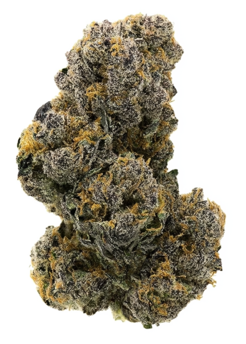 Blue Raz by Grandiflora Genetics