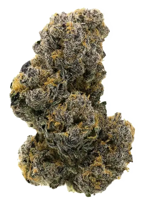Blue Raz by Grandiflora Genetics
