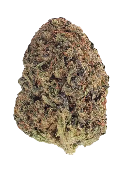 Congo Kashmir