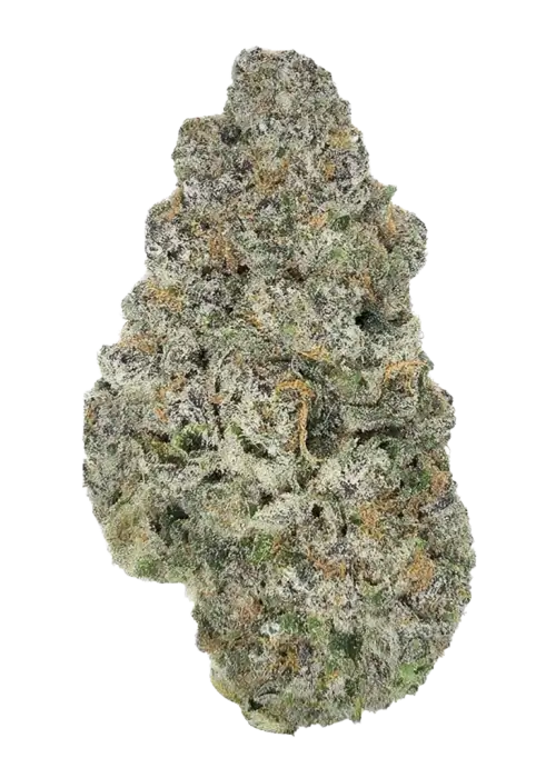 Springfield Sour Diesel
